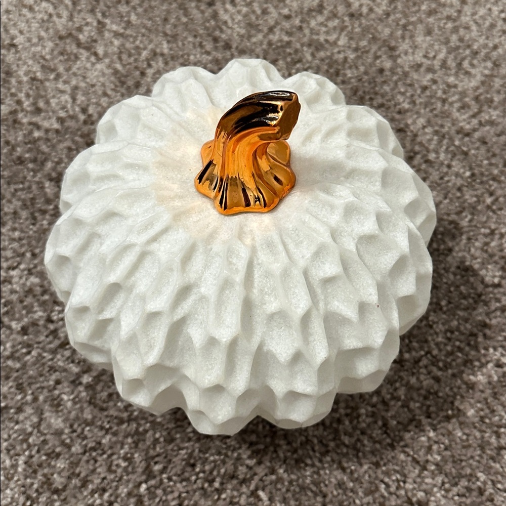 White Textured Resin Pumpkin with changing colors
